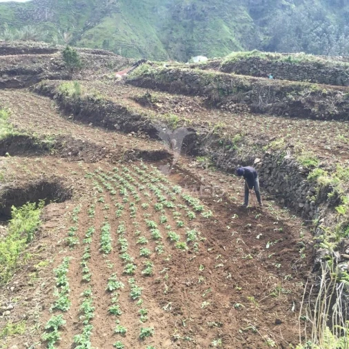 Terreno para Venda em Serra de Agua Foto 8