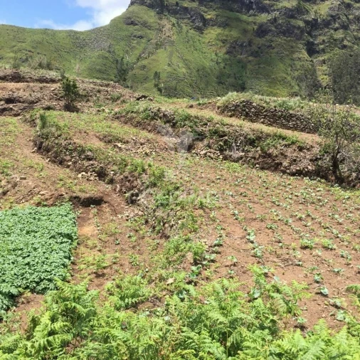 Terreno para Venda em Serra de Agua Foto 9
