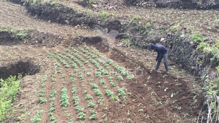 Terreno para Venda em Serra de Agua