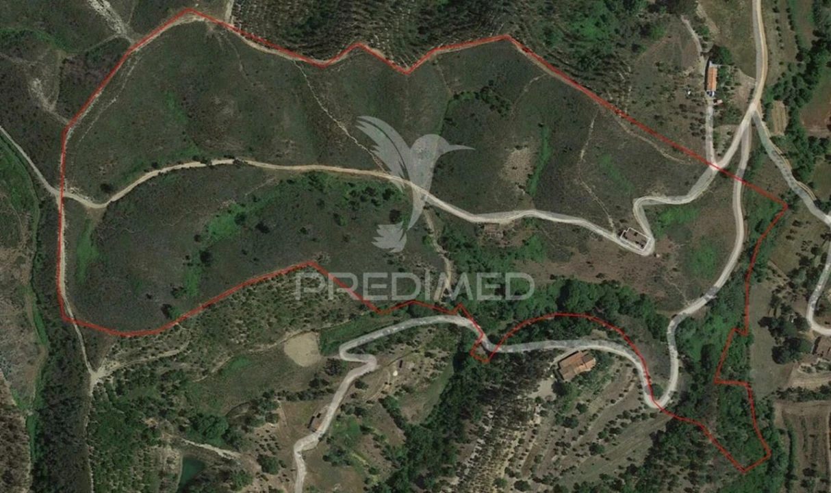 Quinta T6 para Venda em Saboia Foto 22