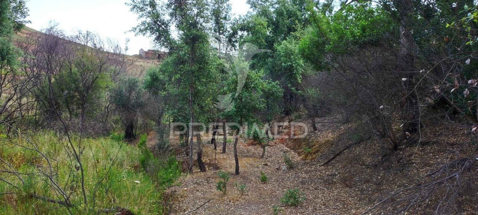 Quinta T6 para Venda em Saboia Foto 20