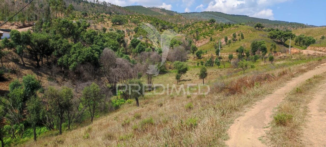 Quinta T6 para Venda em Saboia Foto 25