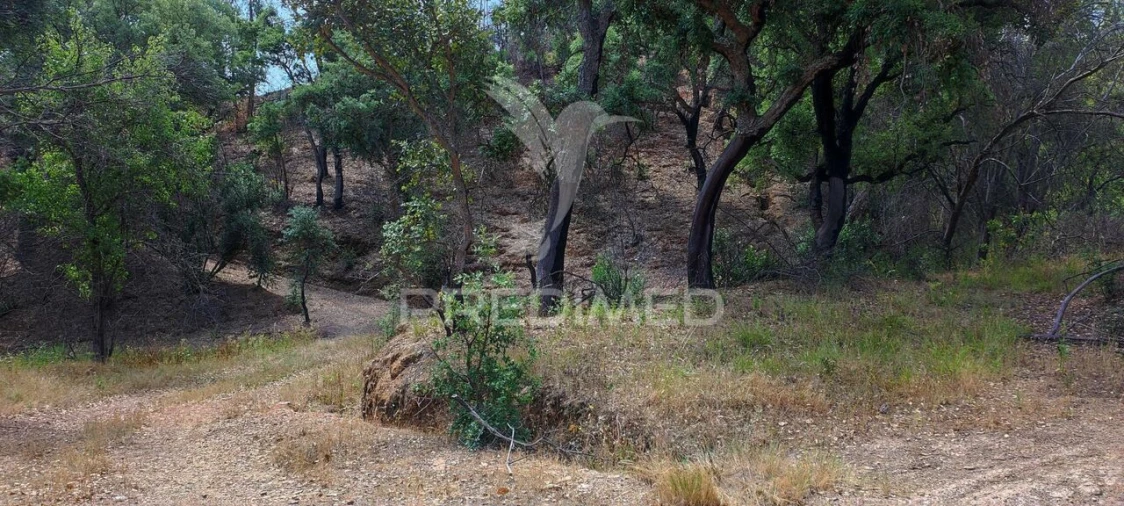 Quinta T6 para Venda em Saboia Foto 26