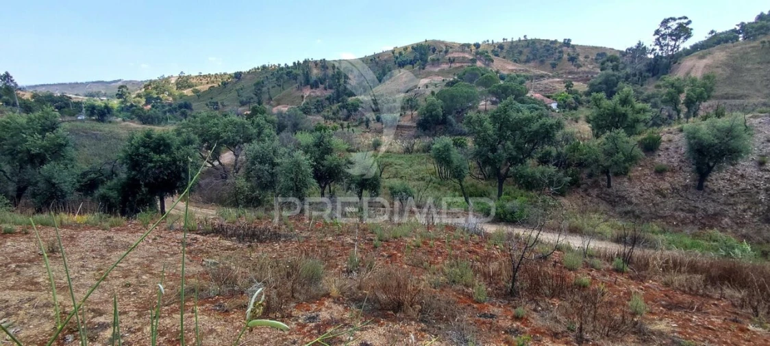 Quinta T6 para Venda em Saboia Foto 21