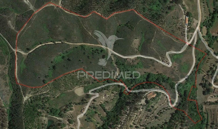 Quinta T6 para Venda em Saboia Foto 22