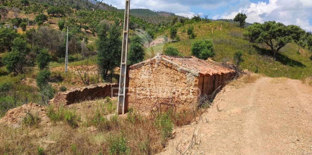 Quinta T6 para Venda em Saboia Foto 23