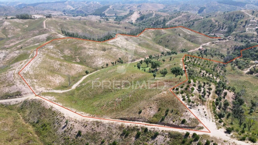 Quinta T6 para Venda em Saboia Foto 14