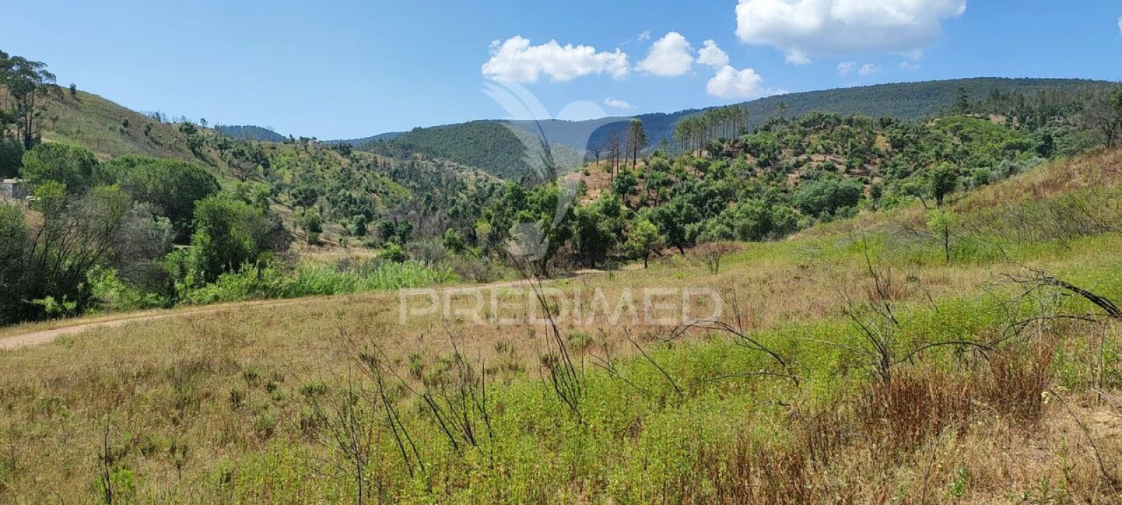 Quinta T6 para Venda em Saboia Foto 17