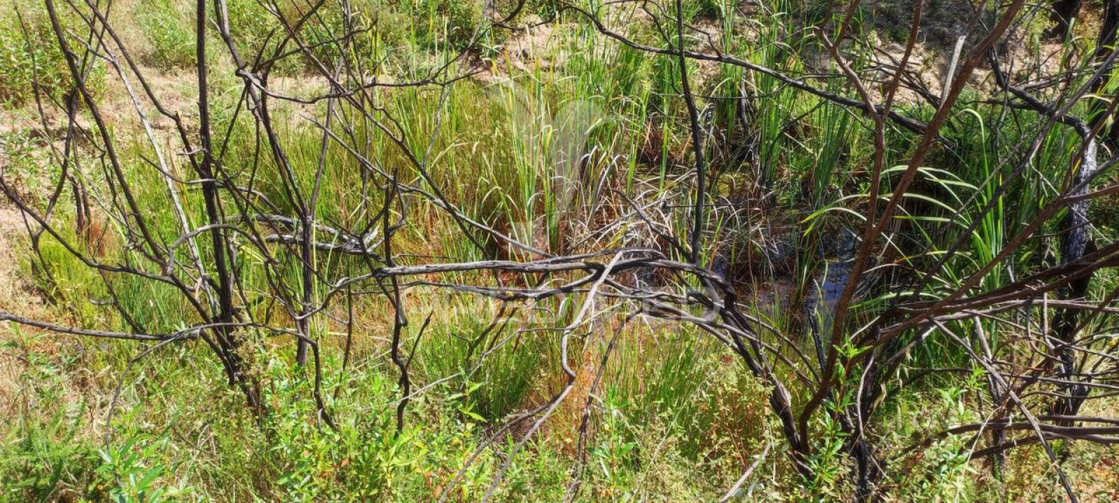 Quinta T6 para Venda em Saboia Foto 24