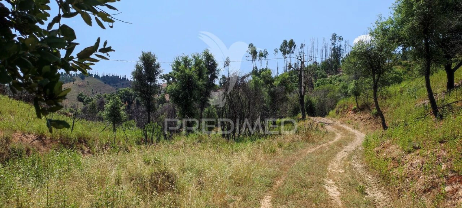 Quinta T6 para Venda em Saboia Foto 19