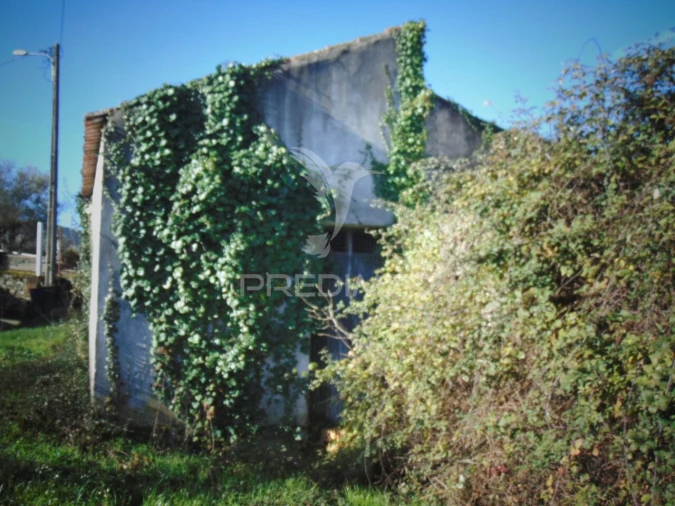 Moradia T2 para Venda em Vilarinho de São Romão Foto 7