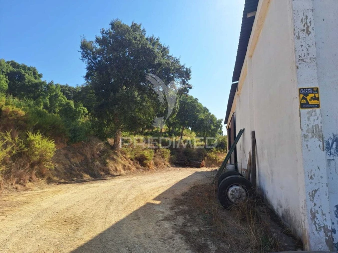 Armazém para Venda em Aveiras de Cima Foto 3