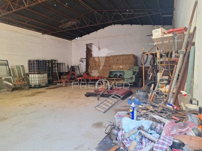 Armazém para Venda em Aveiras de Cima Foto 5