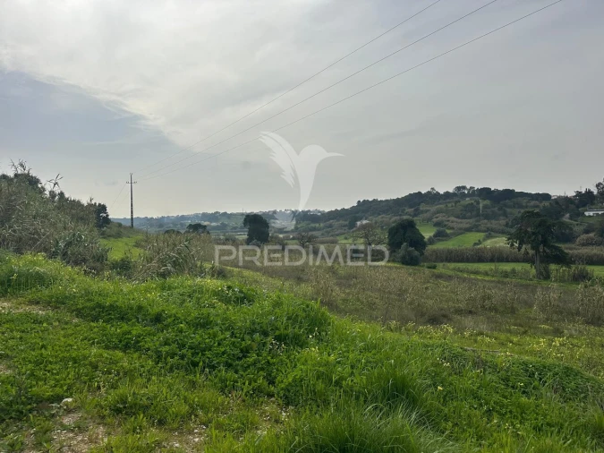 Armazém para Venda em Aveiras de Cima Foto 12