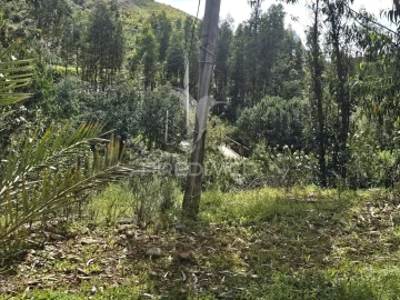 Terreno para Venda em Silves