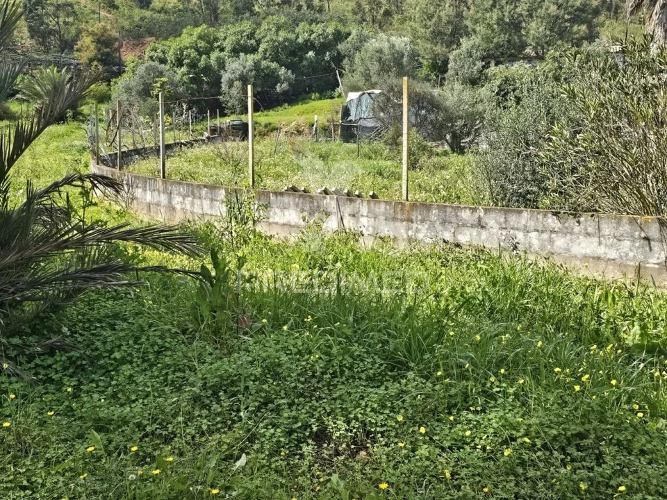 Terreno para Venda em Silves Foto 8