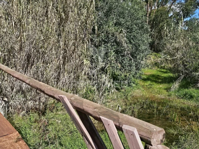 Terreno para Venda em Silves Foto 9