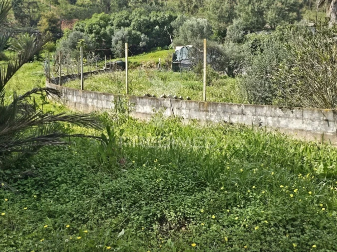 Terreno para Venda em Silves Foto 8