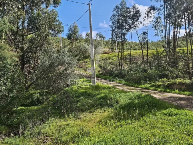 Terreno para Venda em Silves Foto 10