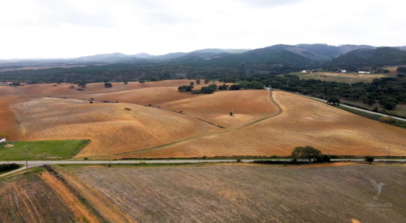 Terreno para Venda em Cercal Foto 2