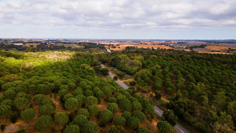 Terreno para Venda em Cercal Foto 12