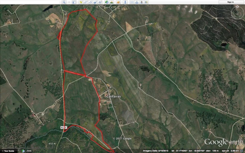 Terreno para Venda em Cercal Foto 3