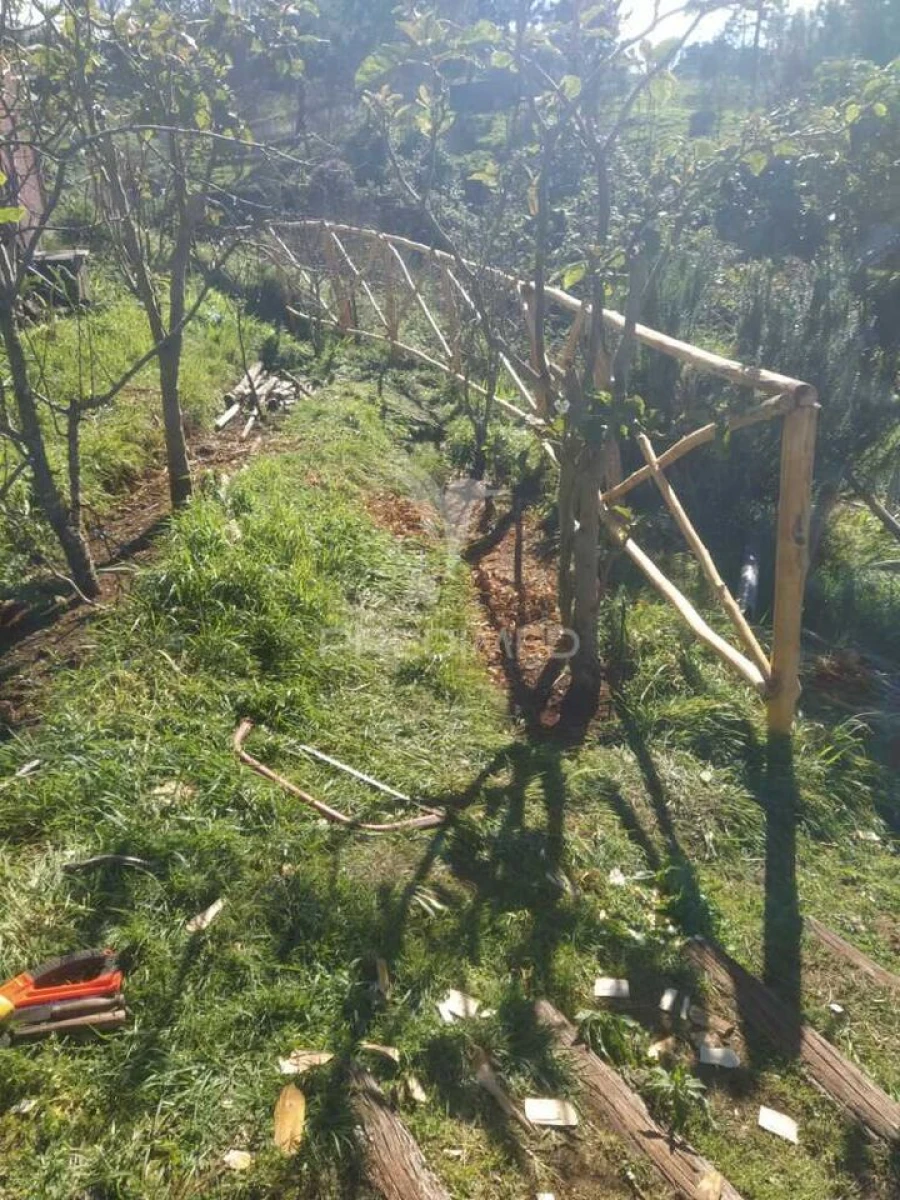 Terreno para Venda em Achadas da Cruz Foto 6