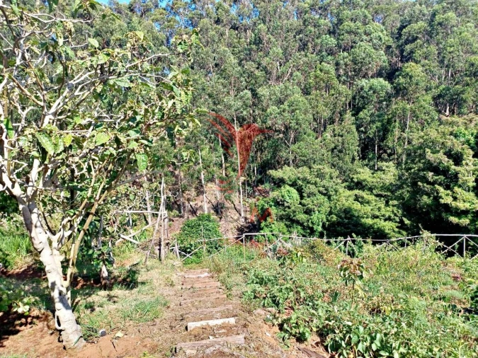 Terreno para Venda em Achadas da Cruz Foto 10