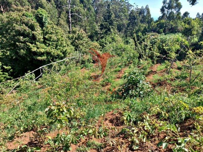 Terreno para Venda em Achadas da Cruz Foto 11