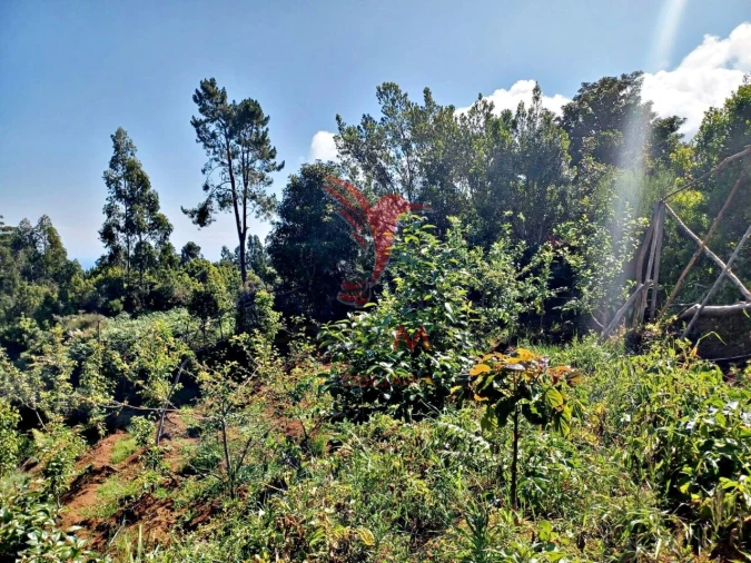 Terreno para Venda em Achadas da Cruz Foto 12