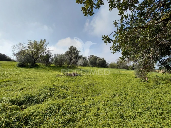 Terreno para Venda em Quelfes Foto 3