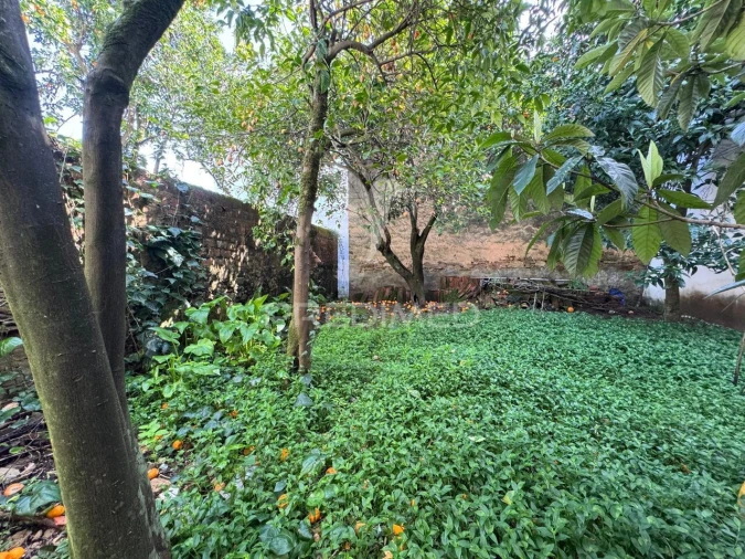 Moradia T4 para Venda em Sardoal Foto 10