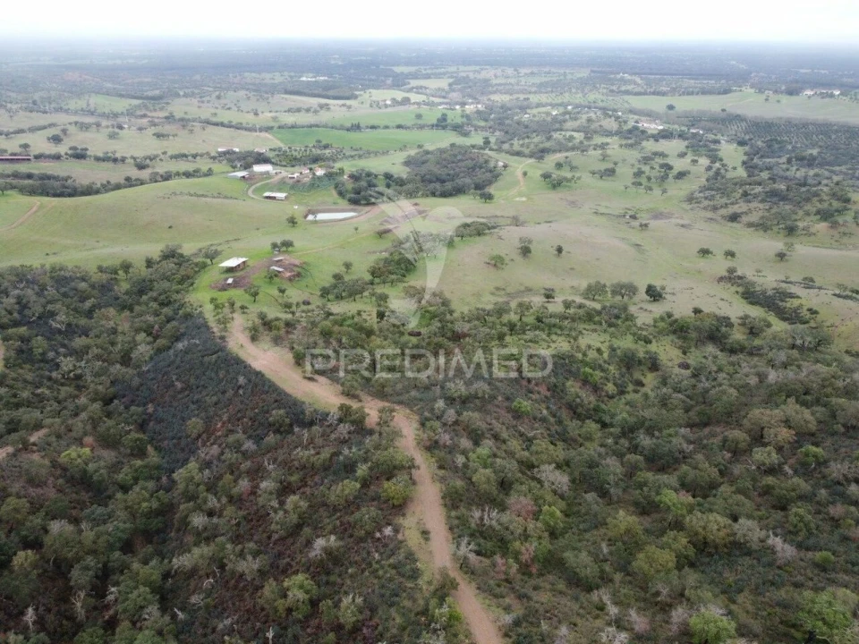 Quinta T2 para Venda em Colos Foto 17