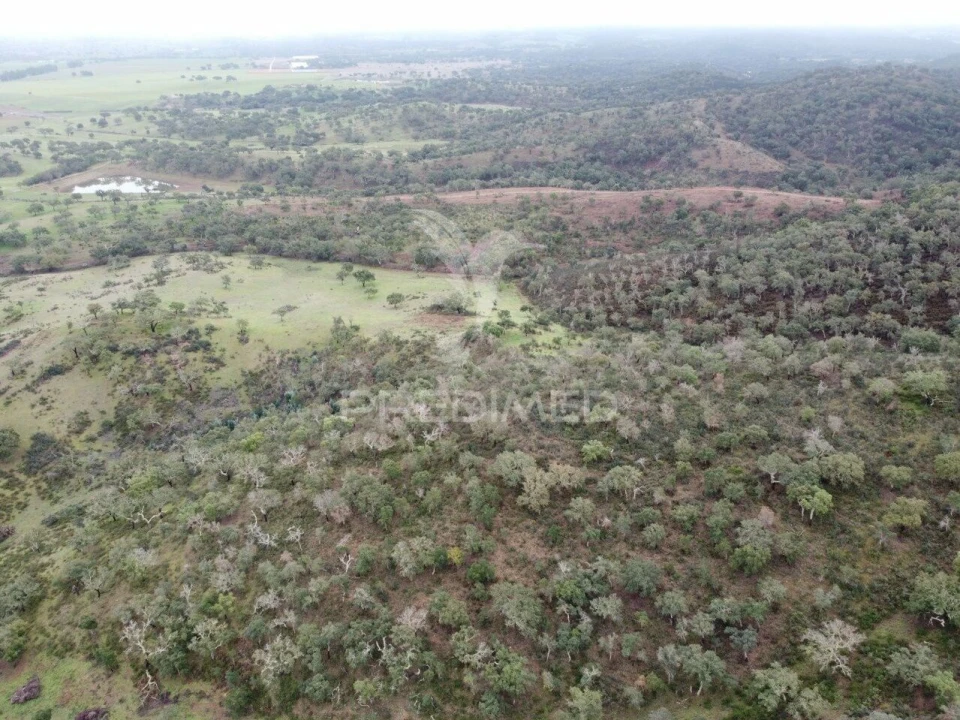 Quinta T2 para Venda em Colos Foto 21