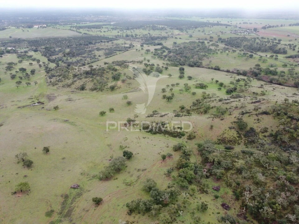 Quinta T2 para Venda em Colos Foto 15