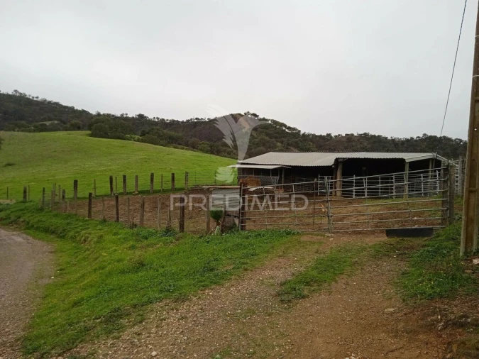 Quinta T2 para Venda em Colos Foto 9