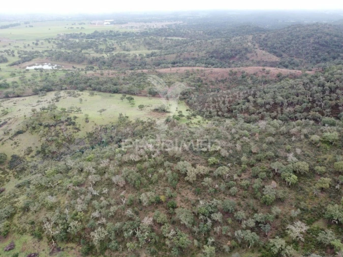 Quinta T2 para Venda em Colos Foto 21