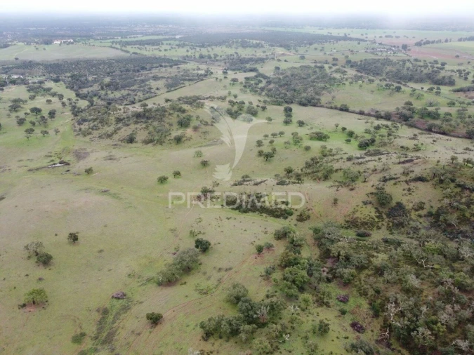 Quinta T2 para Venda em Colos Foto 15