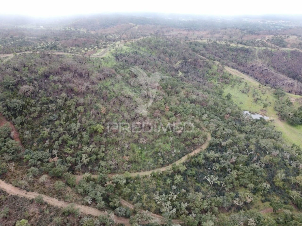 Quinta T2 para Venda em Colos Foto 24