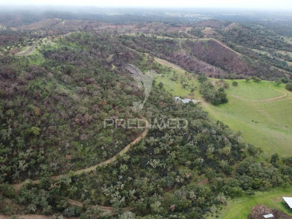 Quinta T2 para Venda em Colos Foto 23
