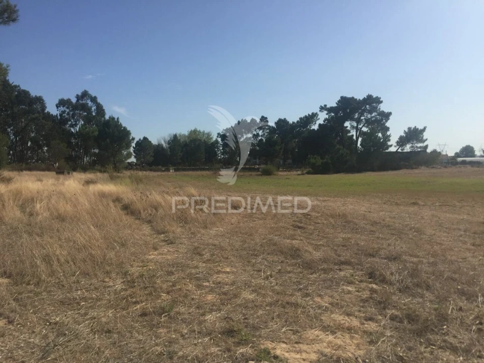 Terreno para Venda em Samora Correia Foto 3