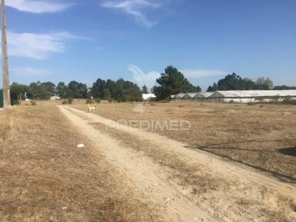 Terreno para Venda em Samora Correia Foto 9
