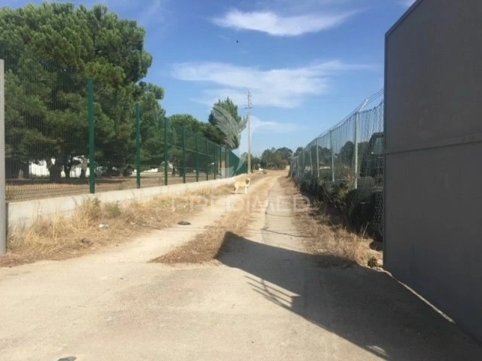 Terreno para Venda em Samora Correia Foto 10