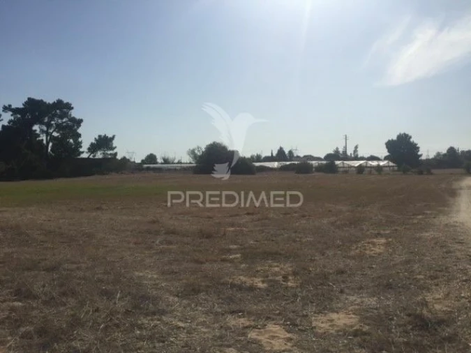 Terreno para Venda em Samora Correia Foto 8