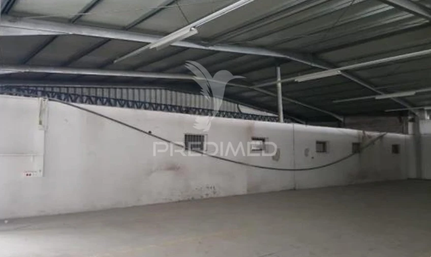 Armazém para Venda em Muge Foto 18