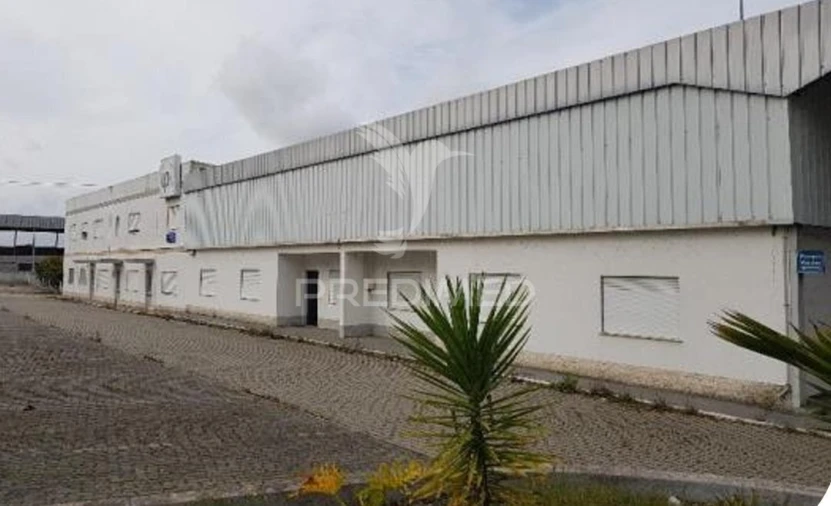 Armazém para Venda em Muge Foto 7