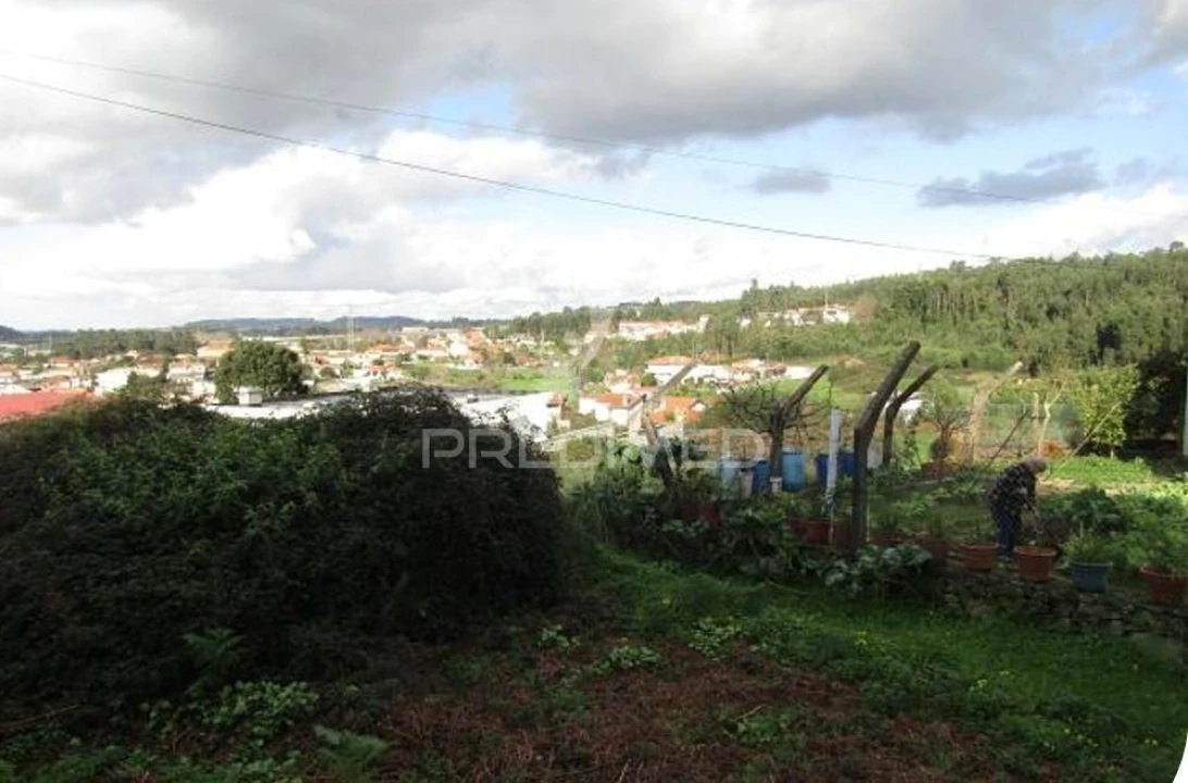 Terreno para Venda em Nogueira da Regedoura Foto 4