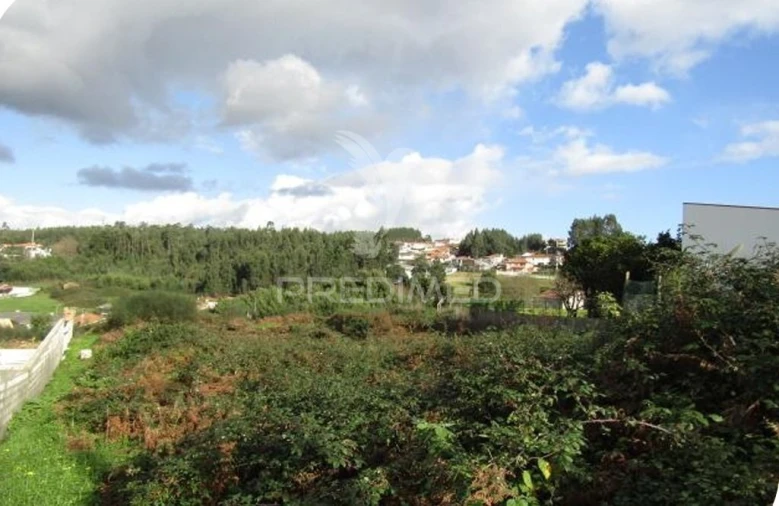 Terreno para Venda em Nogueira da Regedoura Foto 1