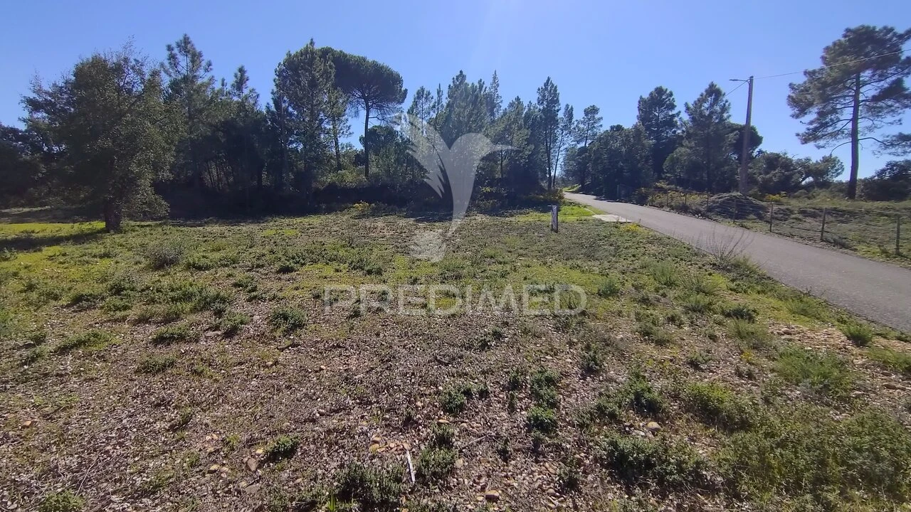 Terreno para Venda em Santa Margarida da Coutada Foto 15