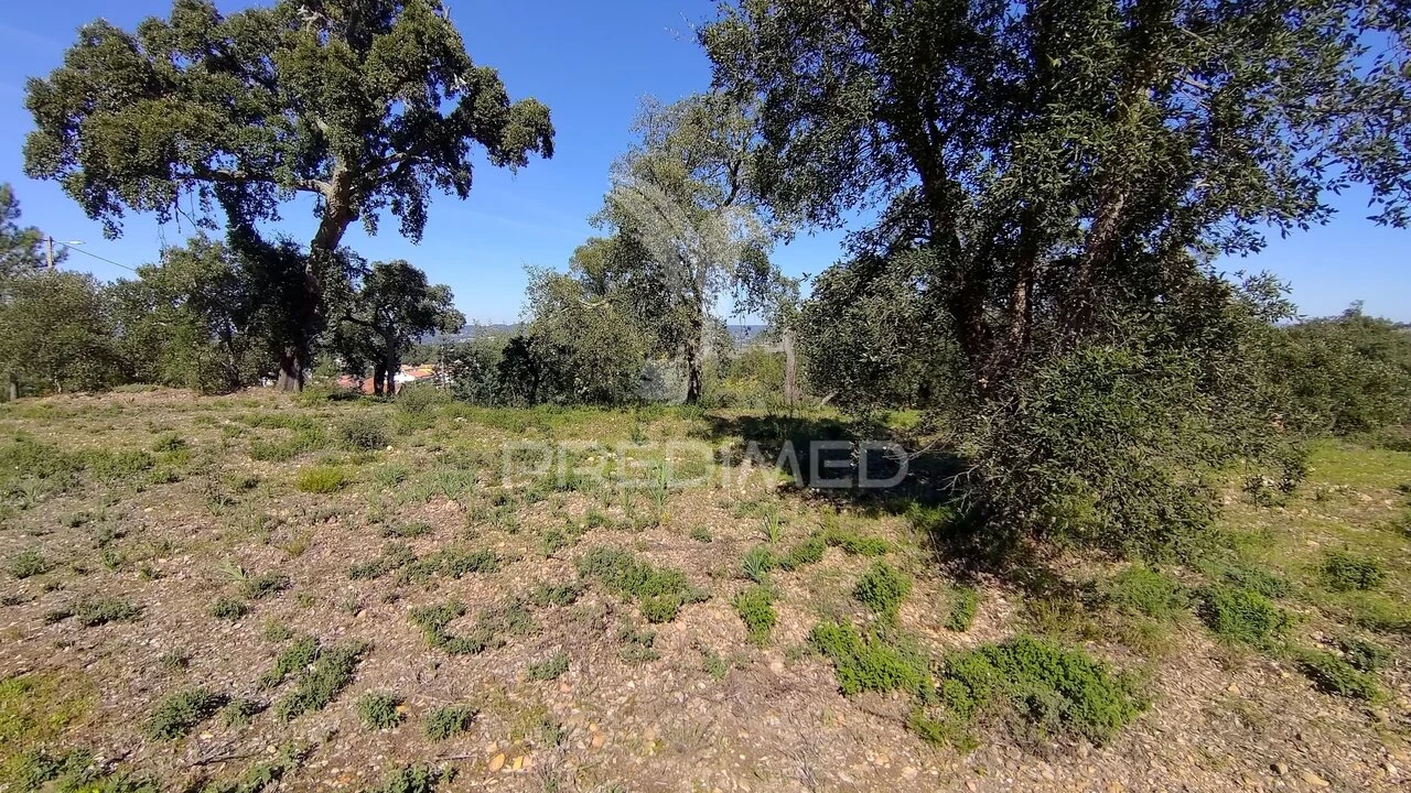 Terreno para Venda em Santa Margarida da Coutada Foto 4